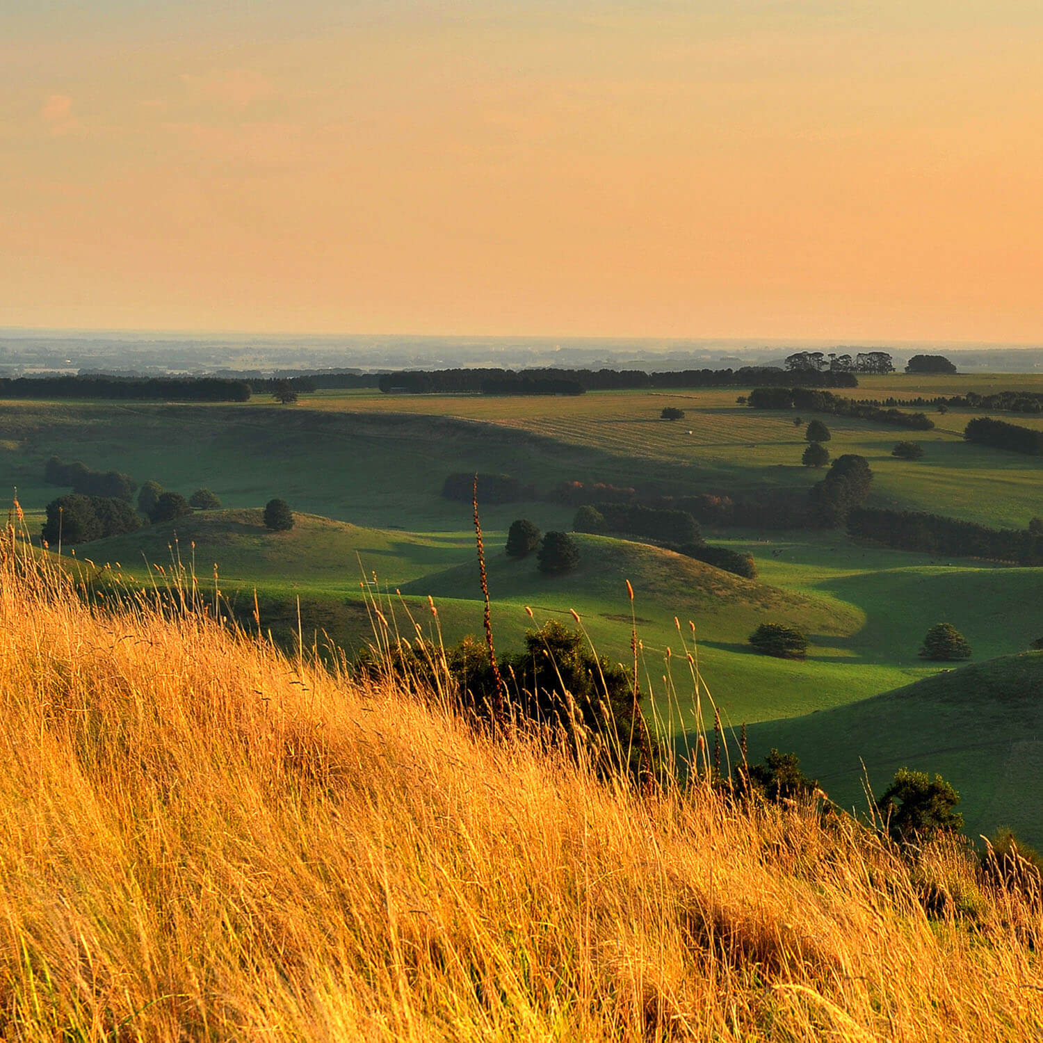 South Gippsland