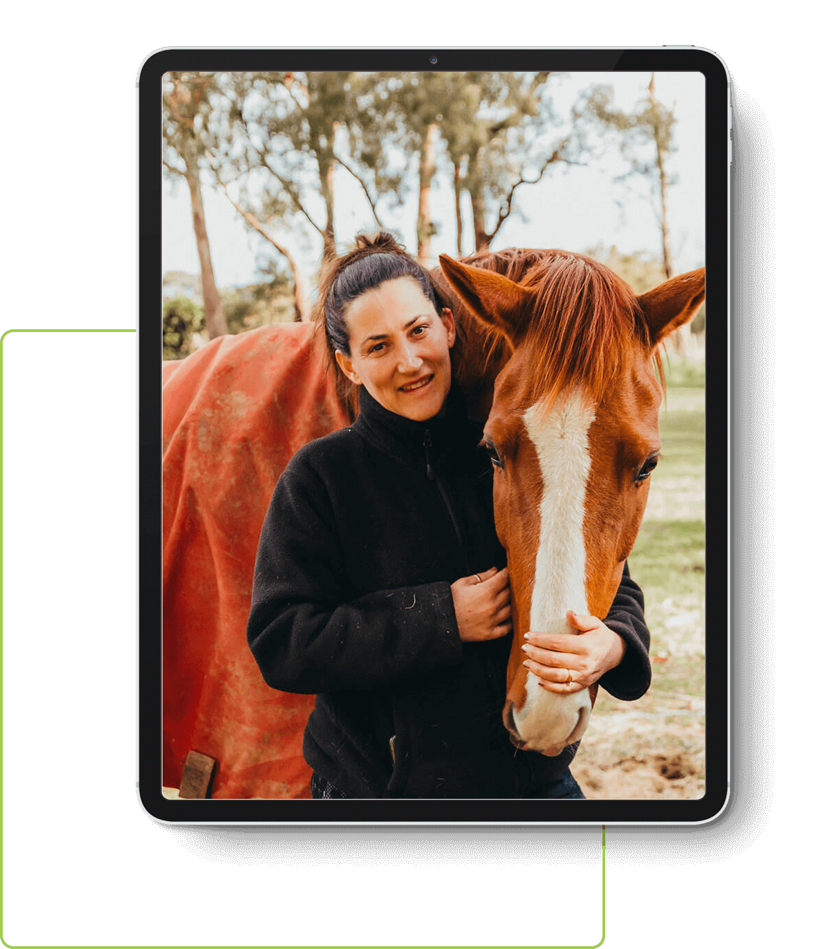 Equine Therapy Yarra Valley SEO Marketing Website